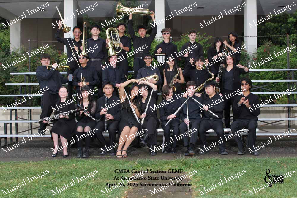 Musical Images